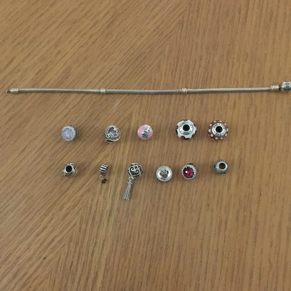 Pandora Full Bracelet 9 charms and 1 bracelet